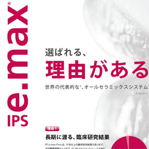 e.max 患者様用パンフレット